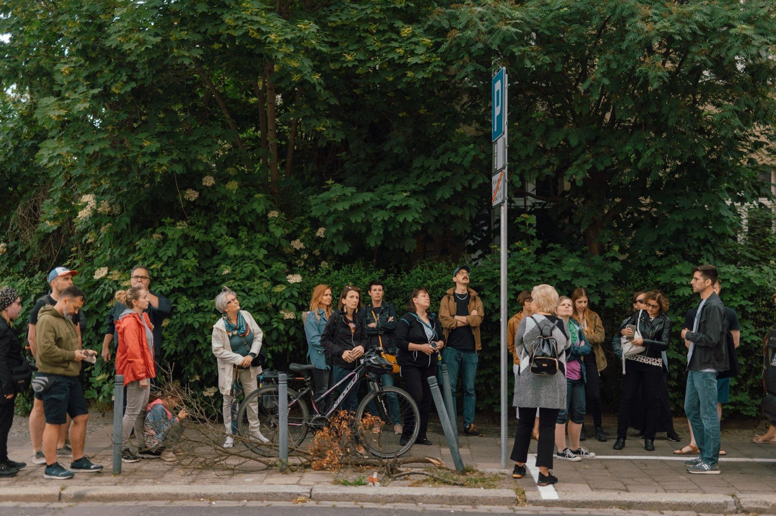 fot. Marcin Szczygieł Grupa ludzi stoi na chodniku pod wielkim drzewem.