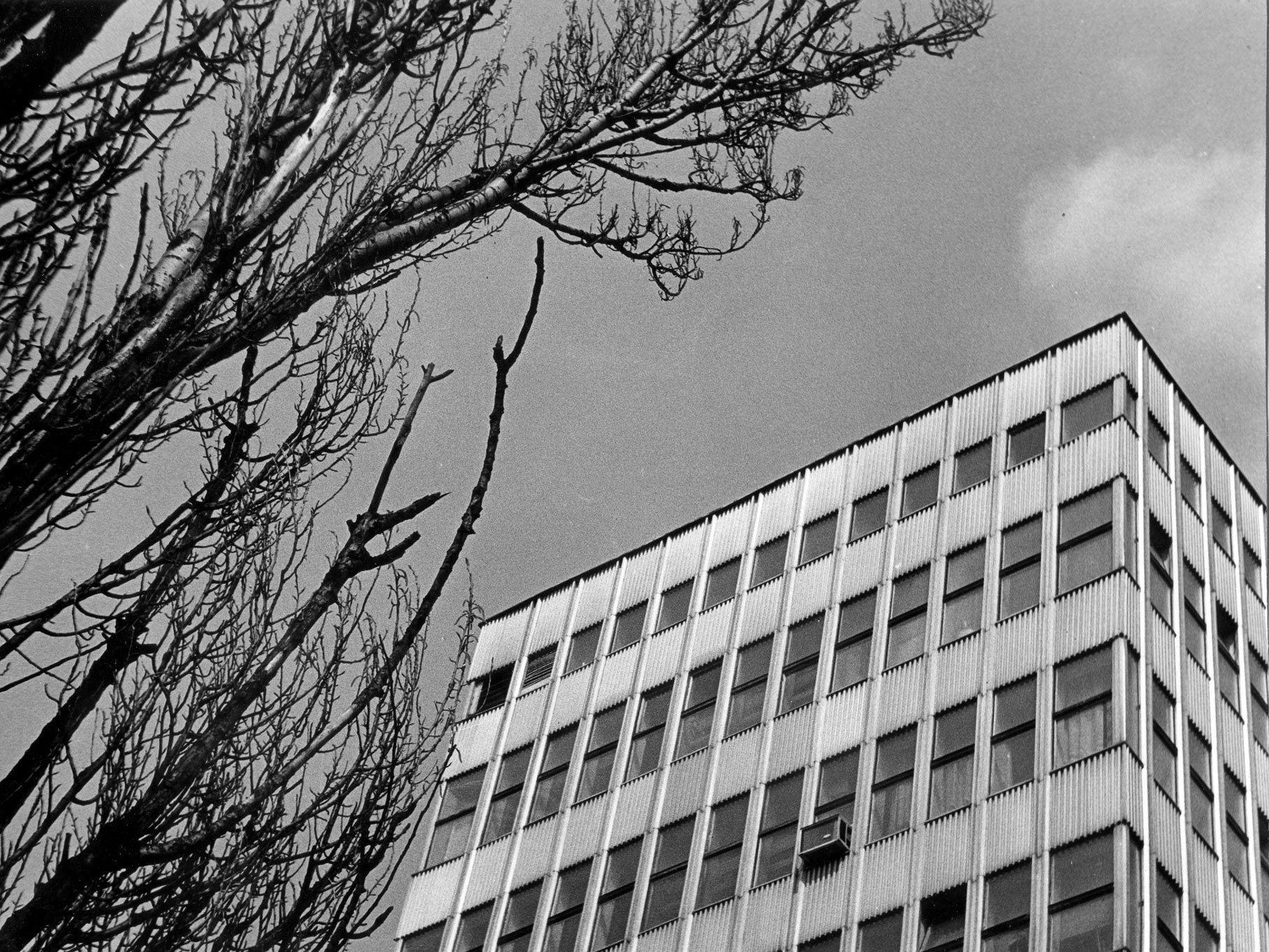 materiały organizatora Czarno-biała archiwalna fotografia: widok na fragment budynku wydziału chemii Uniwersytetu Wrocławskiego. Po lewej stronie widoczny fragment drzewa bez liści.