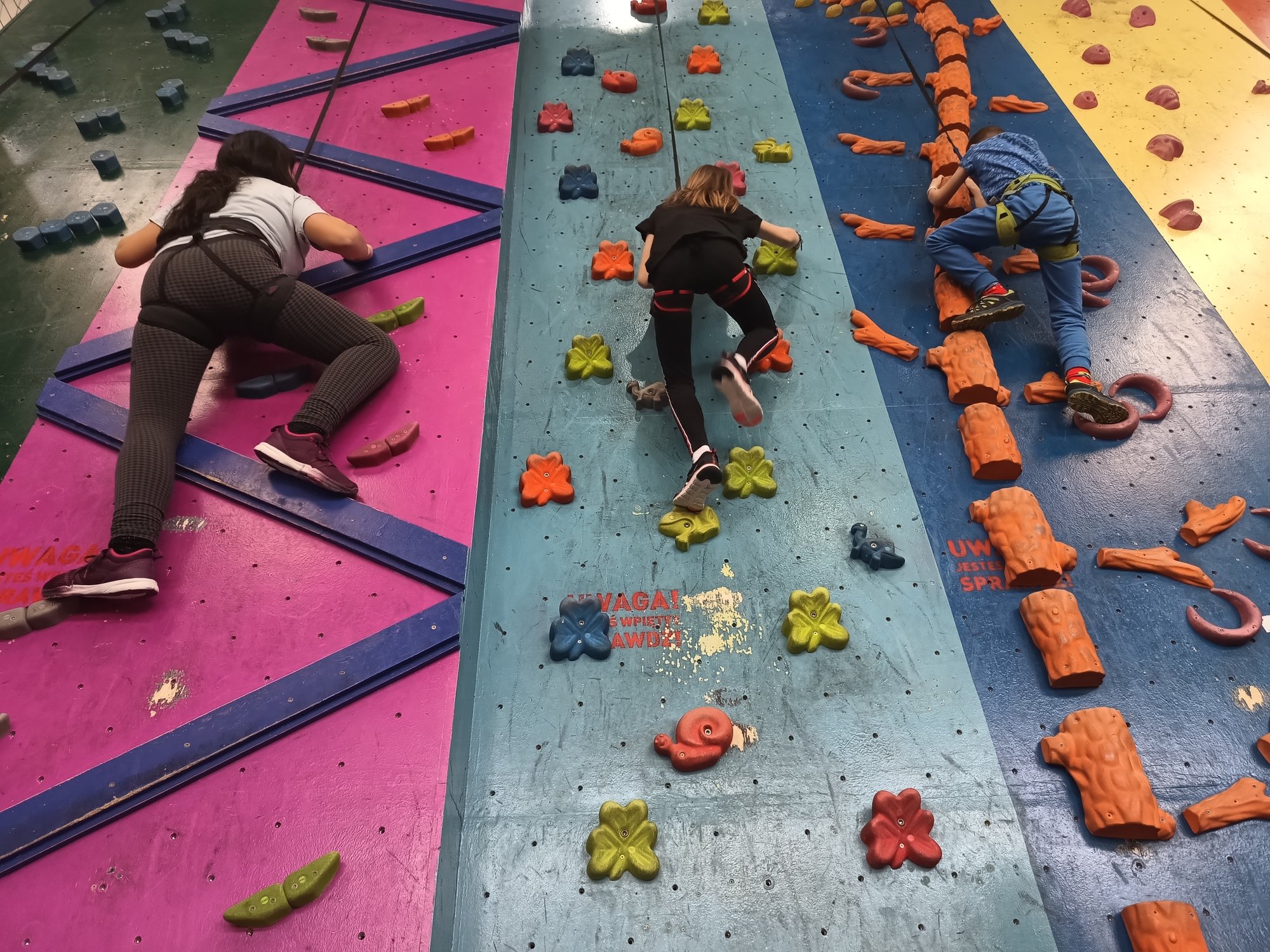 Trójka dzieciaków w profesjonalnych uprzężach wspina się na kolorową ściankę wspinaczkową.