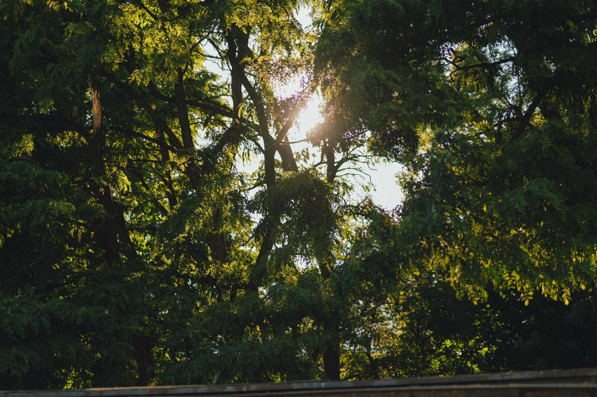 fot. Marcin Szczygieł 290512957 554557939653285 1095444195452208446 n