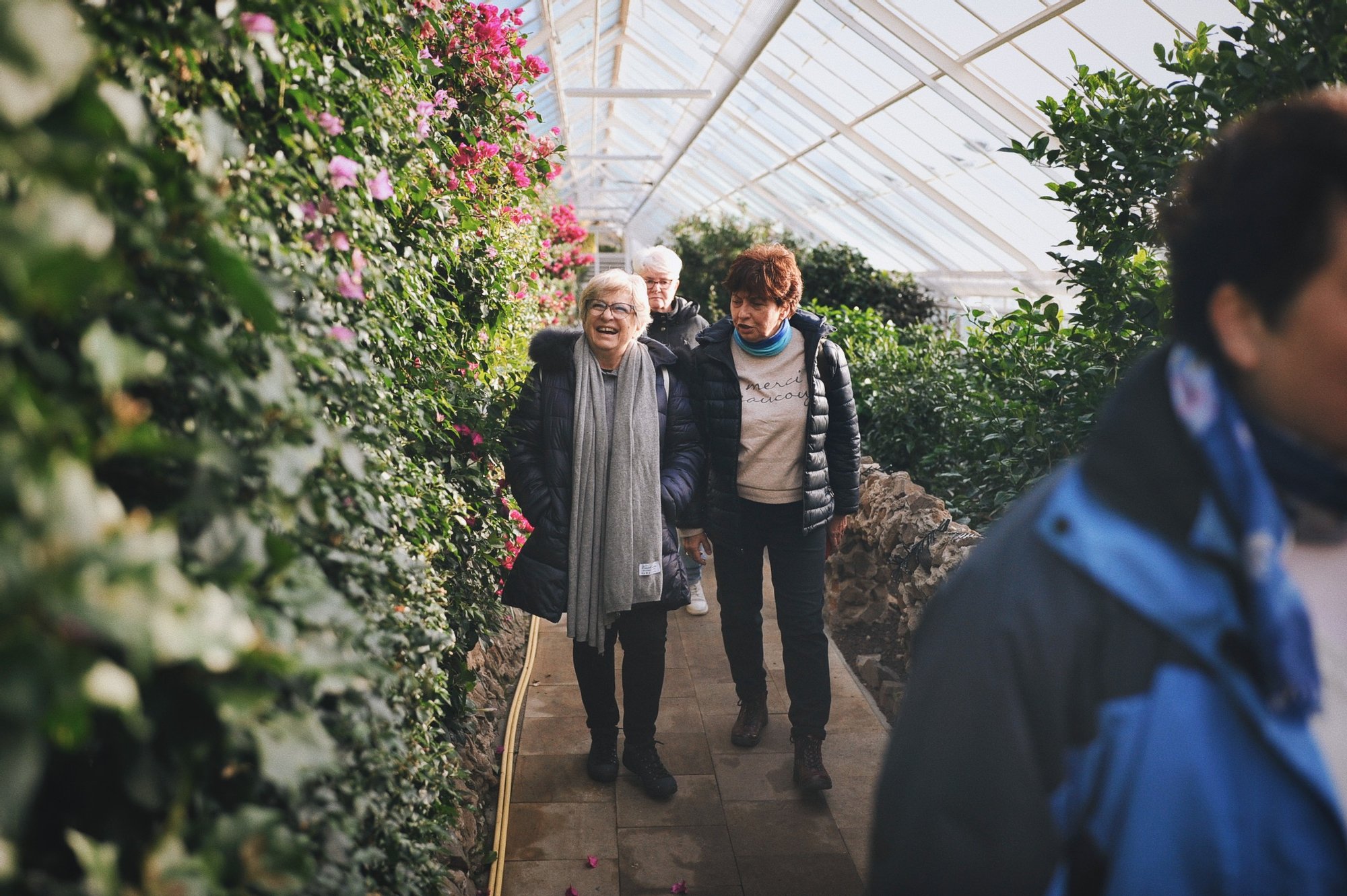 zdjęcie: Anna Pazdej Kolorowa fotografia: wąską alejką spacerują roześmiane seniorki. Podiwiają porośniętą bujną roślinnością ścianę, która mijają.