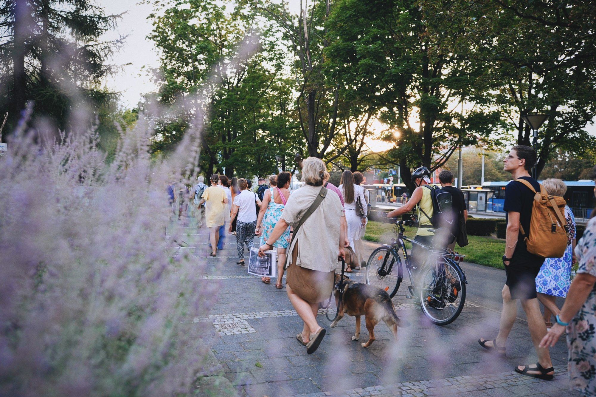 zdjęcie: Anna Pazdej Kolorowa fotografia przedstawia grupę osób podczas spaceru po osiedlu. Idą szerokim chodnikiem pod drzewami, na pierwszym planie kwitnące kwiaty.